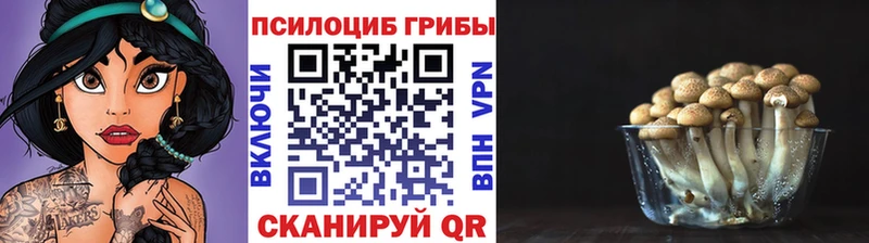 кракен ТОР  Лесозаводск  Псилоцибиновые грибы GOLDEN TEACHER  купить наркотик 